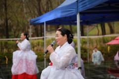 광교산마루길 벚꽃축제(2일차)28번 사진